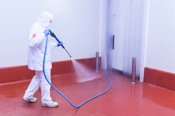 Trusted Wallenpaupack Lake Estates, PA Pressure Washing Services Experts